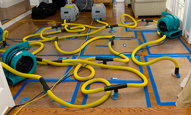 Professional Sewage Cleanup technician working in Bolivar, MO